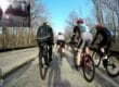 Group of cyclists seen from the back